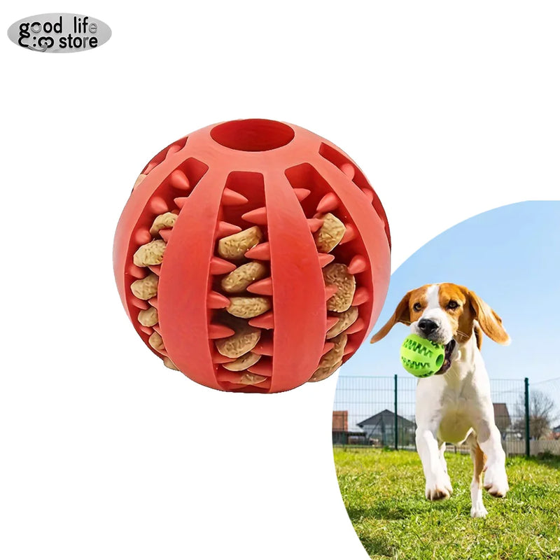 Bola de Borracha Interativa para Cães 🐾💥