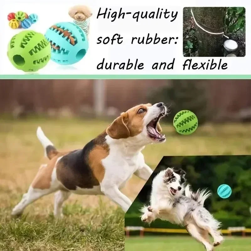 Bola de Borracha Interativa para Cães 🐾💥